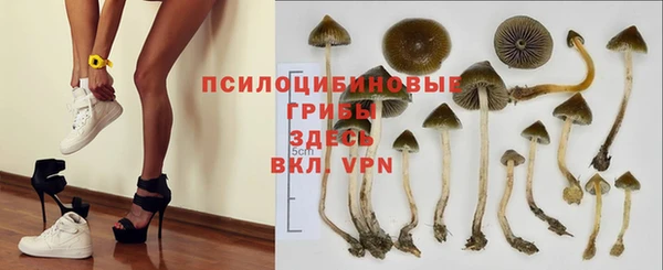 стаф Слюдянка