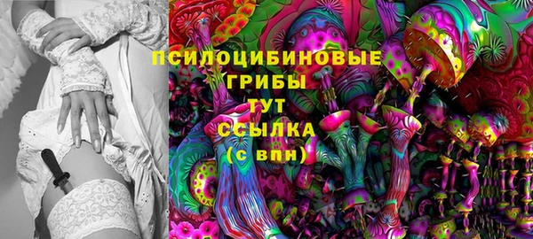 гашиш Снежногорск