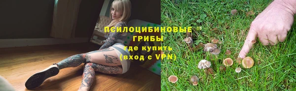 круглые Аркадак